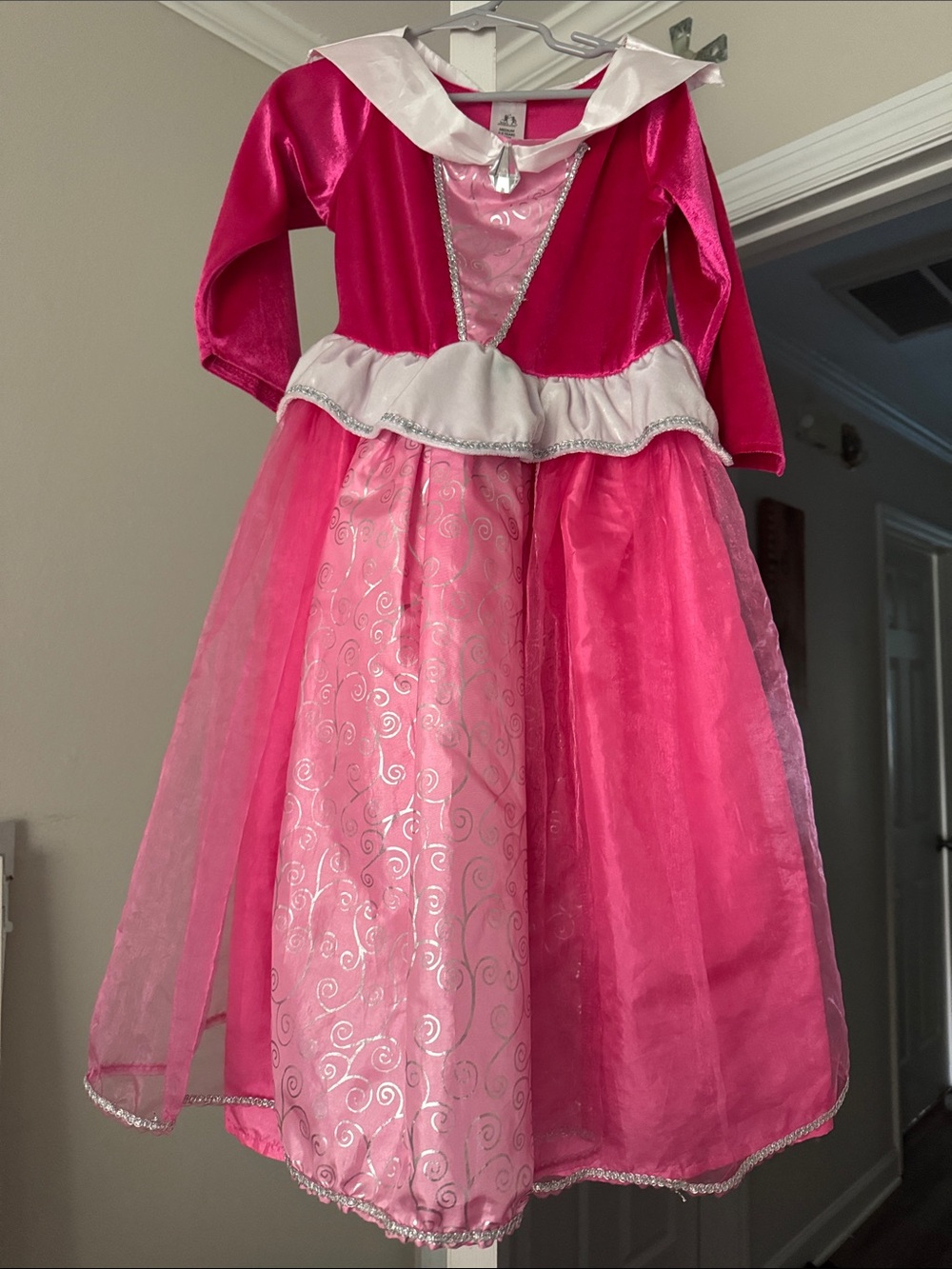 Little Adventures Sleeping Beauty Dress